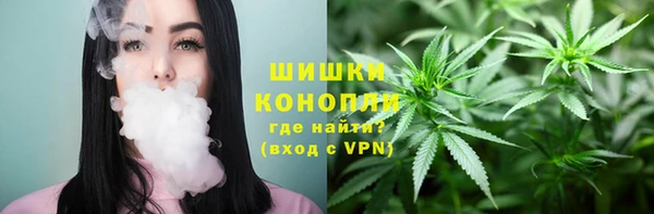 дживик Краснослободск