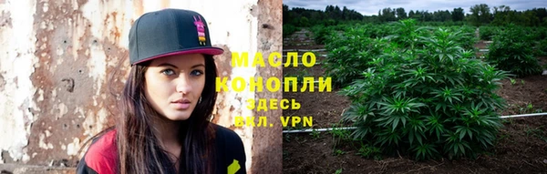 дживик Краснослободск