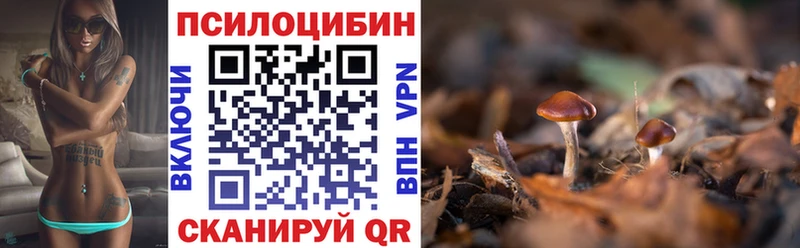 Галлюциногенные грибы Psilocybe  mega сайт  Макарьев 